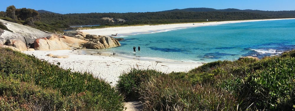 Sloop Reef, Bay of Fires National Park Img 6025