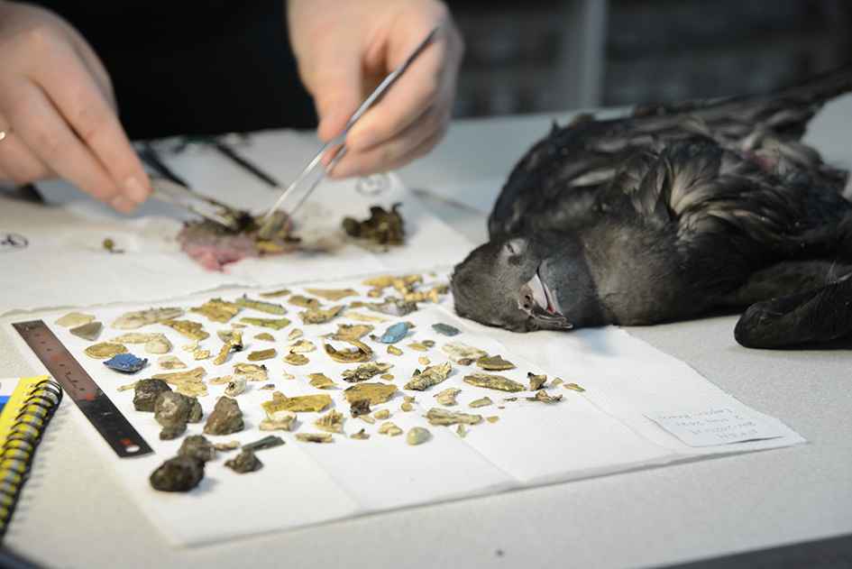 Silke Stuckenbrock Dsc3854 Low