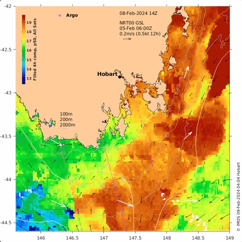 SST anomaly in February 2024 (southern Tasman Sea) when Fairy Prions began washing up Sst